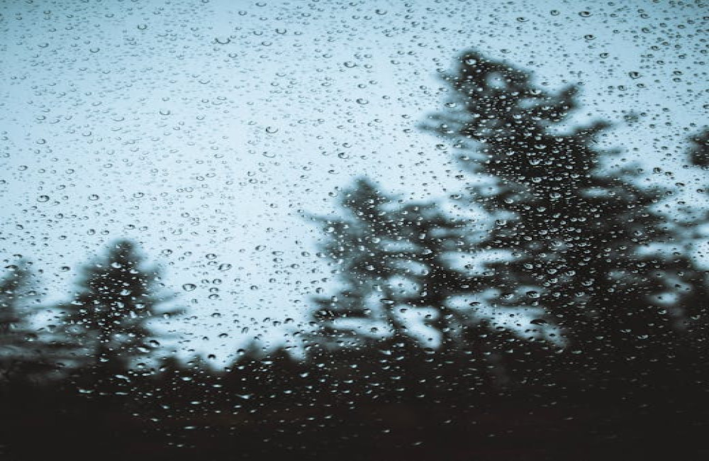 Waarom ruikt regen zo lekker en wat zit er achter die geur?