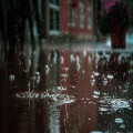 Waarom ruikt regen zo lekker en wat zit er achter deze geur?