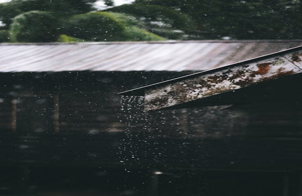 Waarom ruiken regenbuien altijd zo fris en aangenaam?