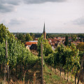 Waarom Limburg steeds populairder wordt voor een luxe vakantie