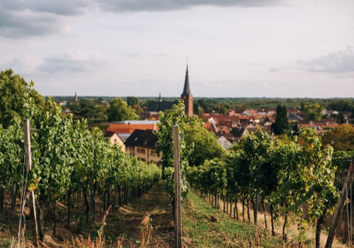 Waarom Limburg steeds populairder wordt voor een luxe vakantie